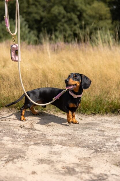 San Marco - halsband - Oud roze satijn - Image 9