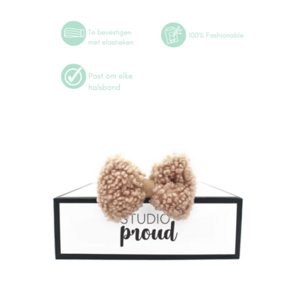Homer - Teddy Brown Bowtie - Image 5