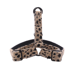 Vasatan - Cheetah tuigje