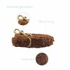 Vesterbro - Teddy Dark Brown hondenriem - Image 4