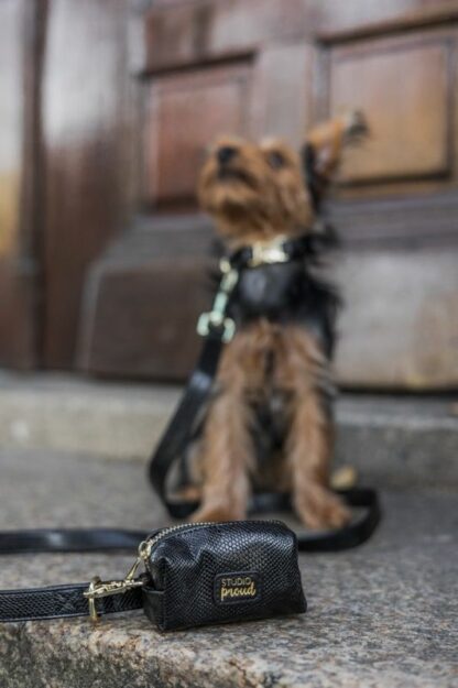 Notre-Dame - Black snake print collar - Image 4