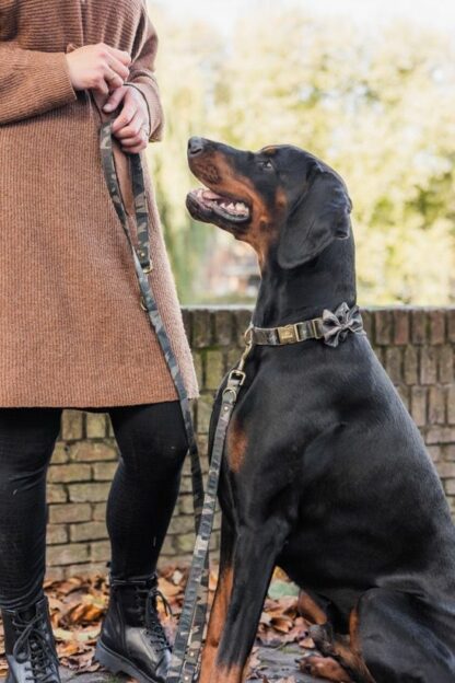 Charlottenburg - Camouflage dog leash - Image 2