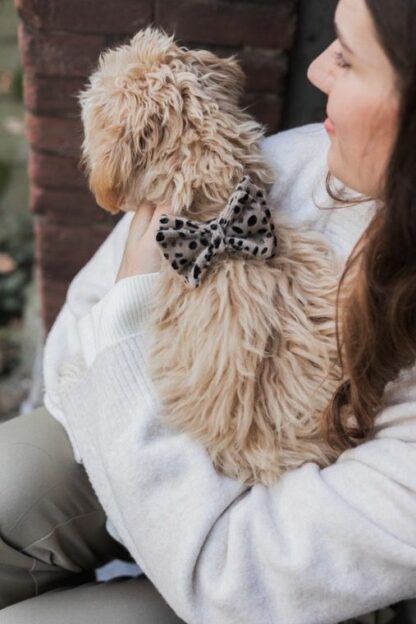 Gamla Stan - Cheetah Bow Tie - Image 6