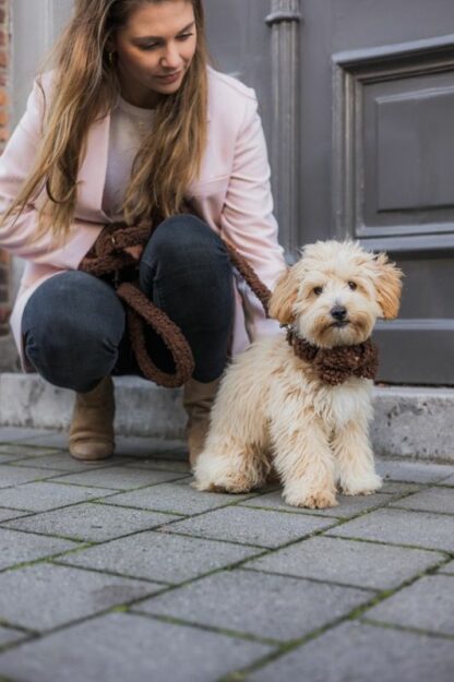 Vesterbro - Teddy Dark Brown hondenriem - Image 2