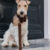 Vesterbro - Teddy Dark Brown hondenriem - Image 3