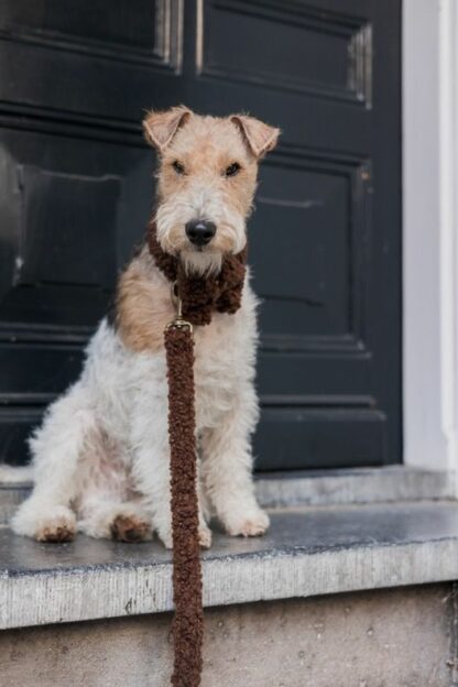 Frederiksberg - Teddy Dark Brown halsband - Image 3