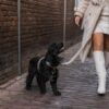 "Handsfree" cityline - Teddy light - Image 3