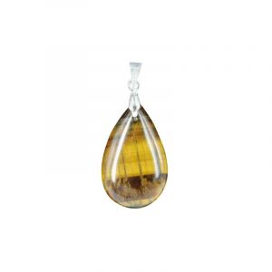 Tijgeroog ronde hanger