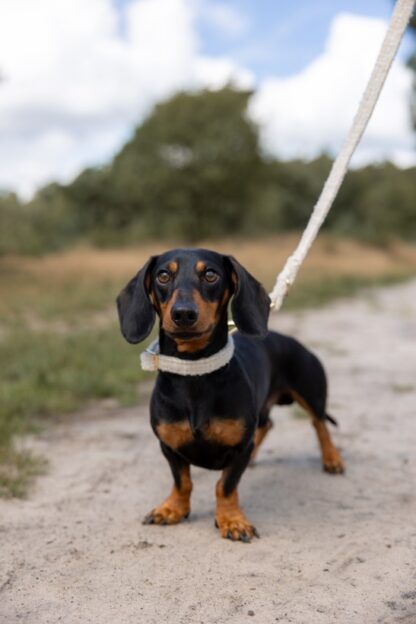 Monte Napoleone - Tweed stof Halsband - Image 4