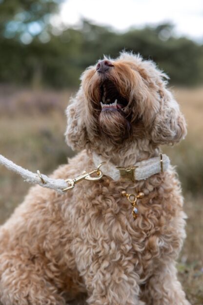Monte Napoleone - Tweed stof Halsband - Image 3