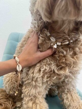 DOGMOM Schelpen enkel/armband - Ramatuelle