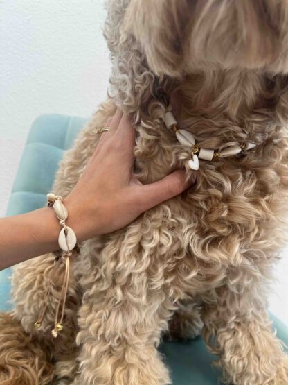 DOGMOM Schelpen enkel/armband - Ramatuelle