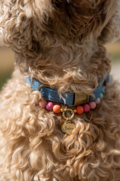 Hondenketting Marrakesh - Afbeelding 5