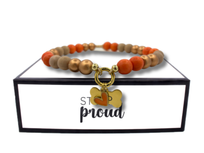 hondenketting - Saïdia