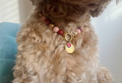 Hondenketting - Tanger - Afbeelding 4