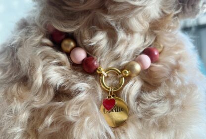 Hondenketting - Tanger - Afbeelding 3