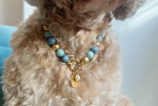 Hondenketting - Dancer