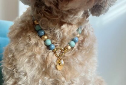 Hondenketting - Dancer