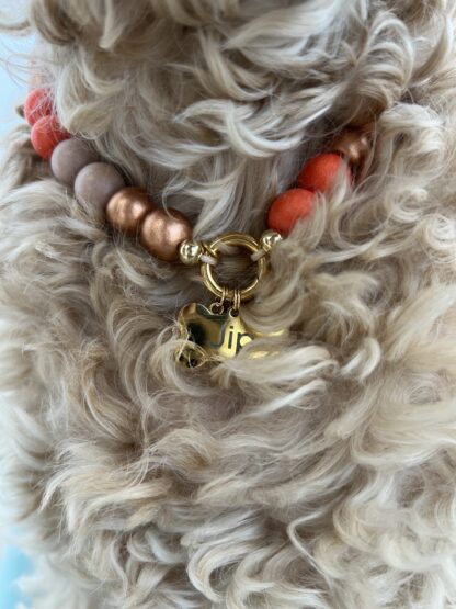 hondenketting - Saïdia - Afbeelding 4