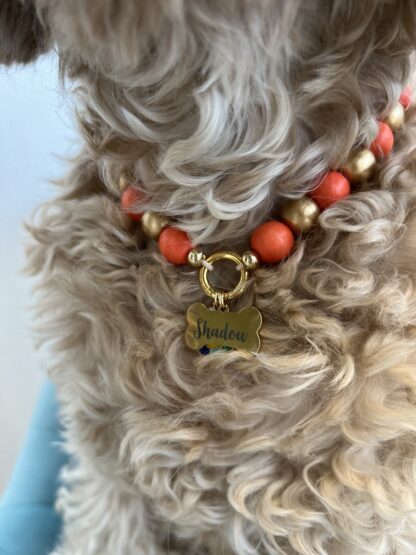 hondenketting - Nador - Afbeelding 3