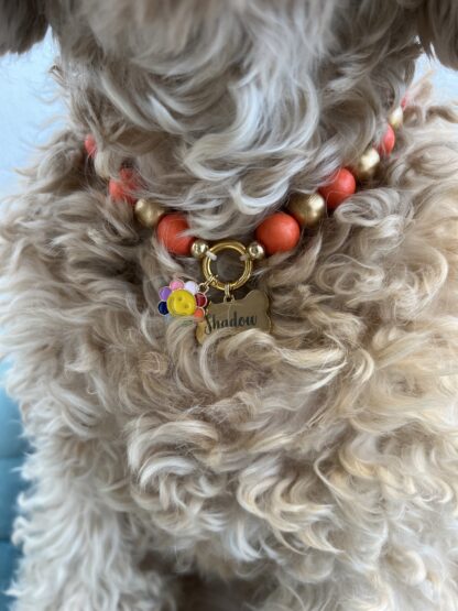 hondenketting - Nador - Afbeelding 4