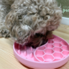 Slowfeeder - vissen - Roze - Afbeelding 4