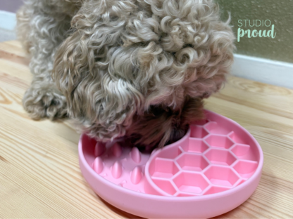 Slowfeeder - vissen - Roze - Afbeelding 4