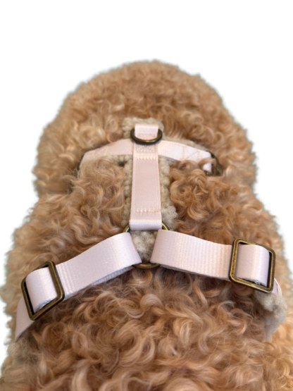 Norway - Teddy light Y-tuigje - Afbeelding 5