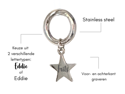 Penning ster vorm zilver - Afbeelding 3