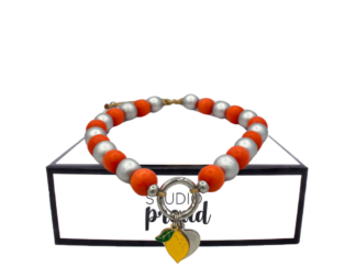 Hondenketting - Targha