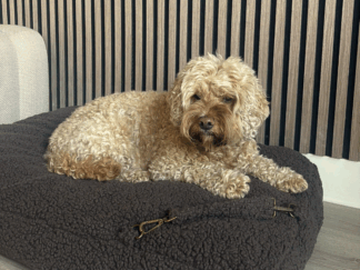Teddy dark taupe hondenkussen hoes