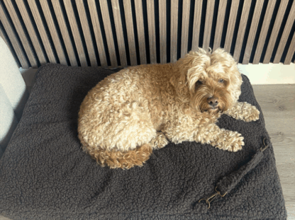 Wasbare Teddy Hondenkussen Hoes Taupe – Zacht, Anti-Slip & Personaliseerbaar | Studio Proud - Afbeelding 4