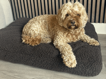 Wasbare Teddy Hondenkussen Hoes Taupe – Zacht, Anti-Slip & Personaliseerbaar | Studio Proud - Afbeelding 5