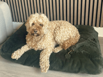 Wasbare Fleece Hondenkussen Hoes Groen – Zachte, Anti-Slip & Personaliseerbaar | Studio Proud