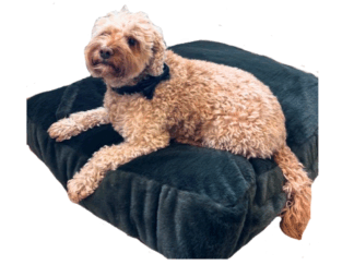 Fur fleece Green hondenkussen Hoes