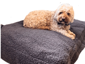 Teddy dark taupe hondenkussen hoes