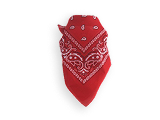 Bandana