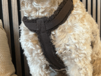 Comfortabel teddy hondenharnas in bruin