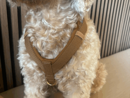 Verstelbaar hondenharnas in bruin en beige