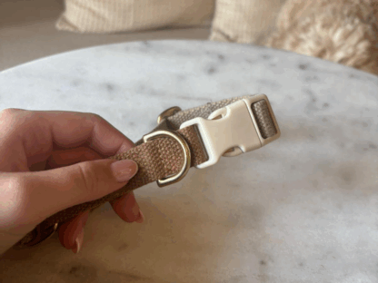 Close-up beige hondenhalsband met stevige gesp