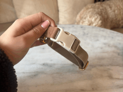 Beige hondenhalsband in hand met gouden ring en kliksluiting
