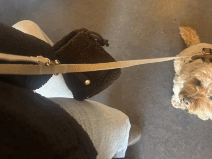 Honden trainingszakje teddy bruin aan riem bevestigd
