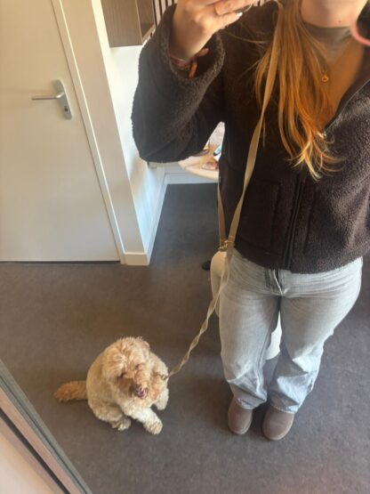 Handsfree hondenriem beige in gebruik