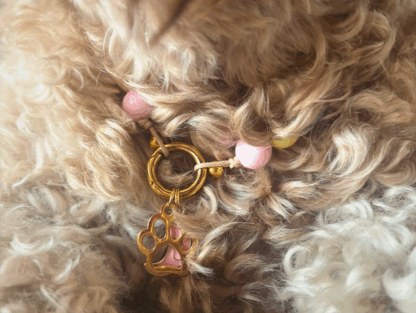 Hondenketting - Asilah - Afbeelding 3