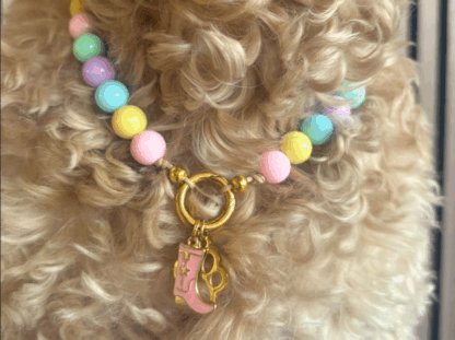 Hondenketting - Asilah