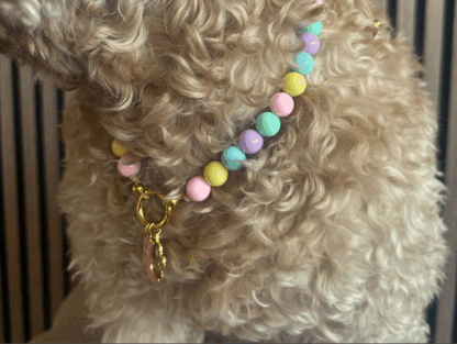Hondenketting - Asilah - Afbeelding 2